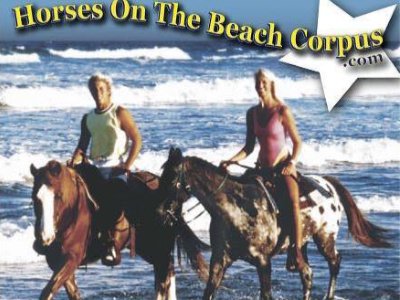 Things To Do Horses on the Beach